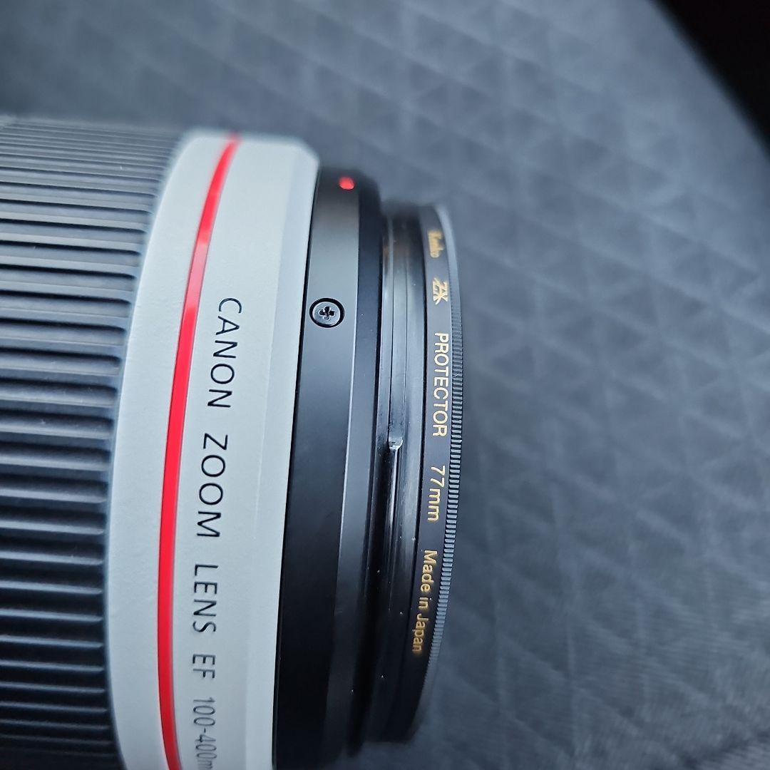 EF100-400mm F4.5-5.6L IS II USM + RFアダプタ