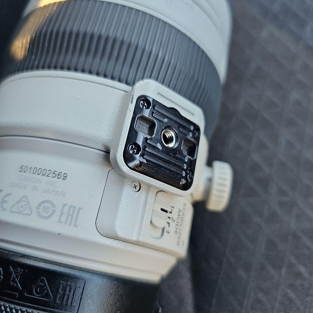 EF100-400mm F4.5-5.6L IS II USM + RFアダプタ