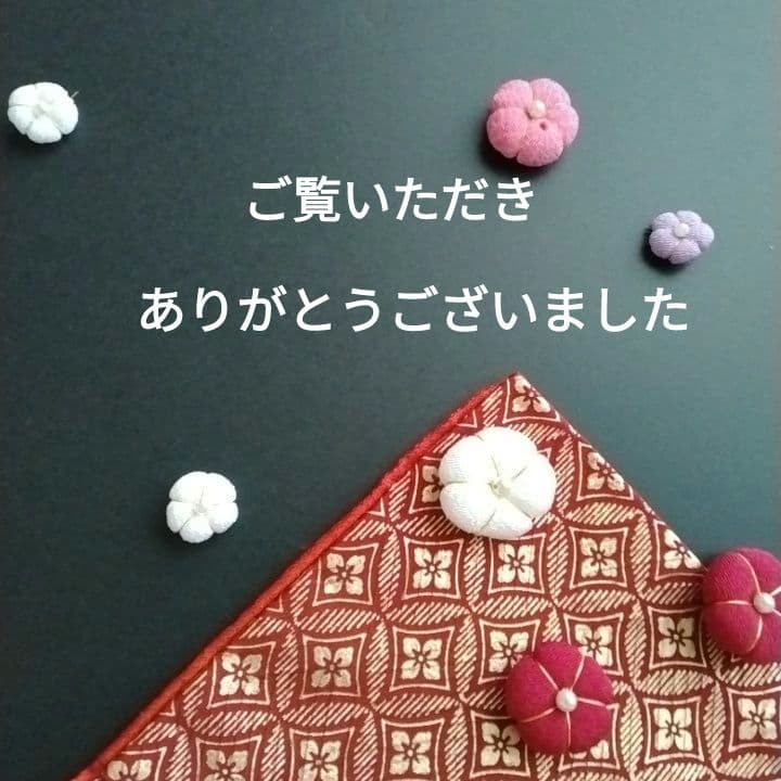 【美品】お宮参り 正絹　産着　祝着　赤白金　七五三　長襦袢付き