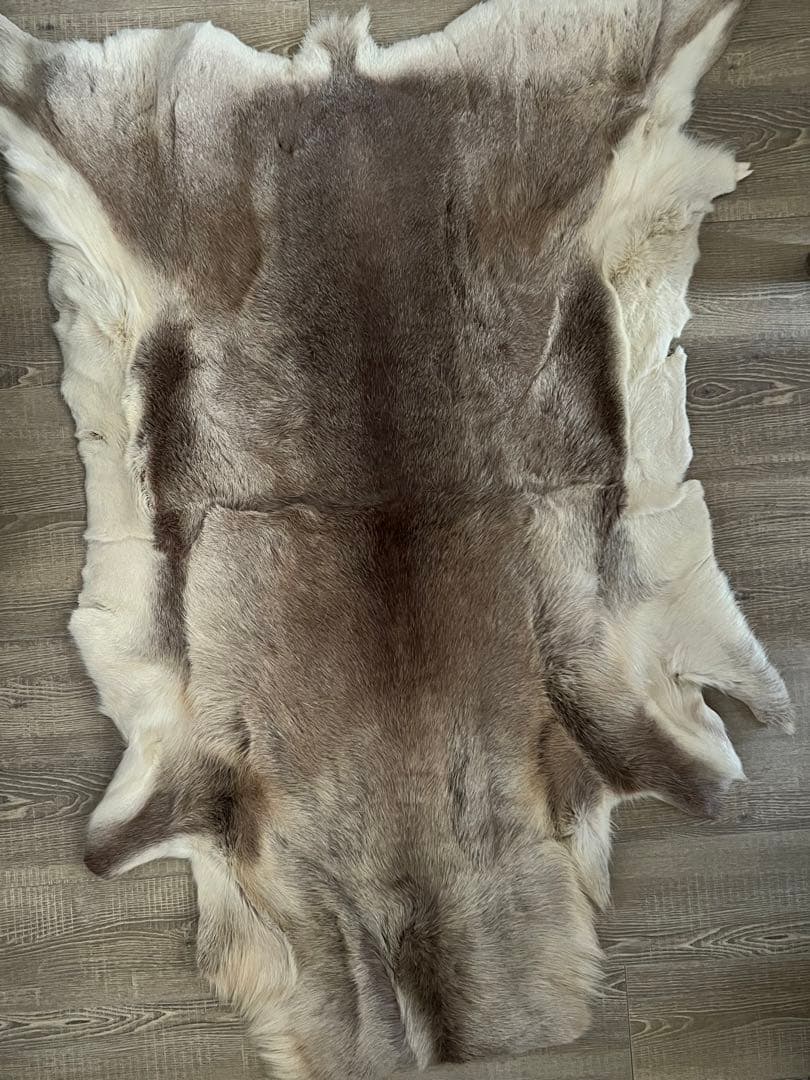 トナカイ　毛皮