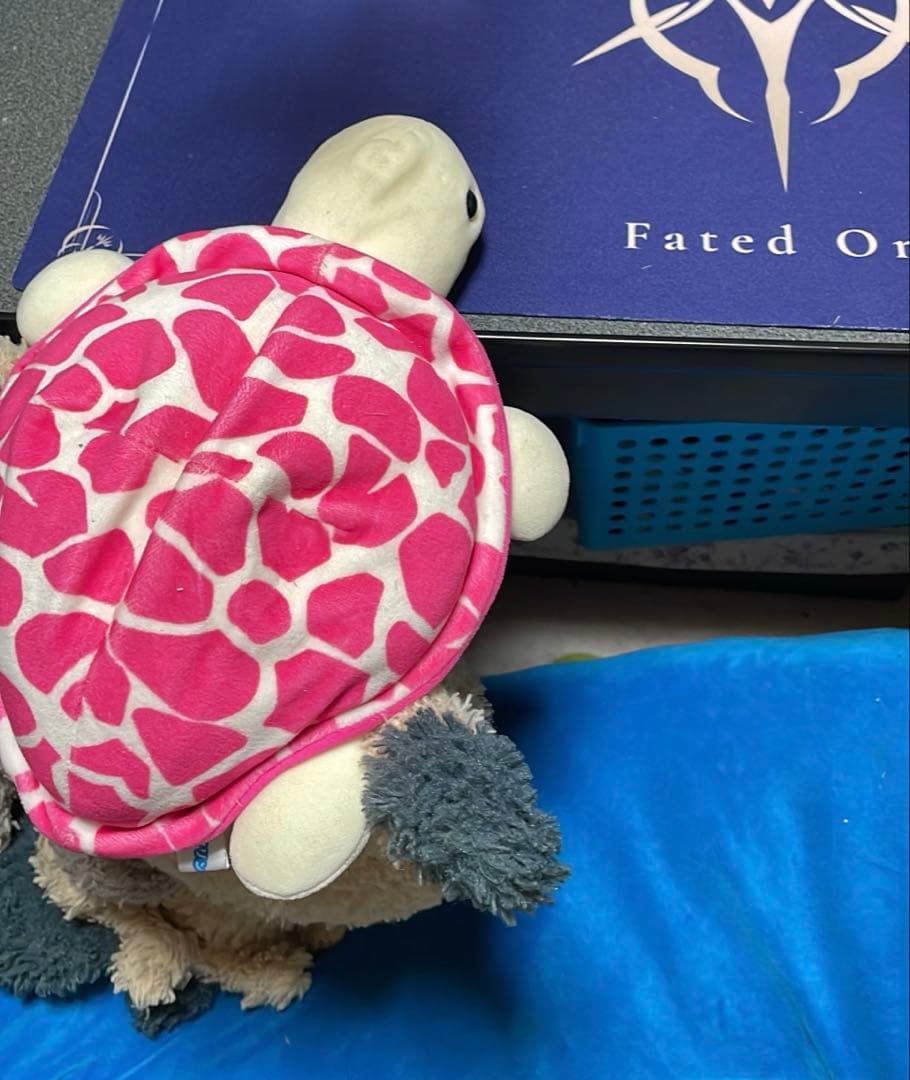 いりすちゃん専用