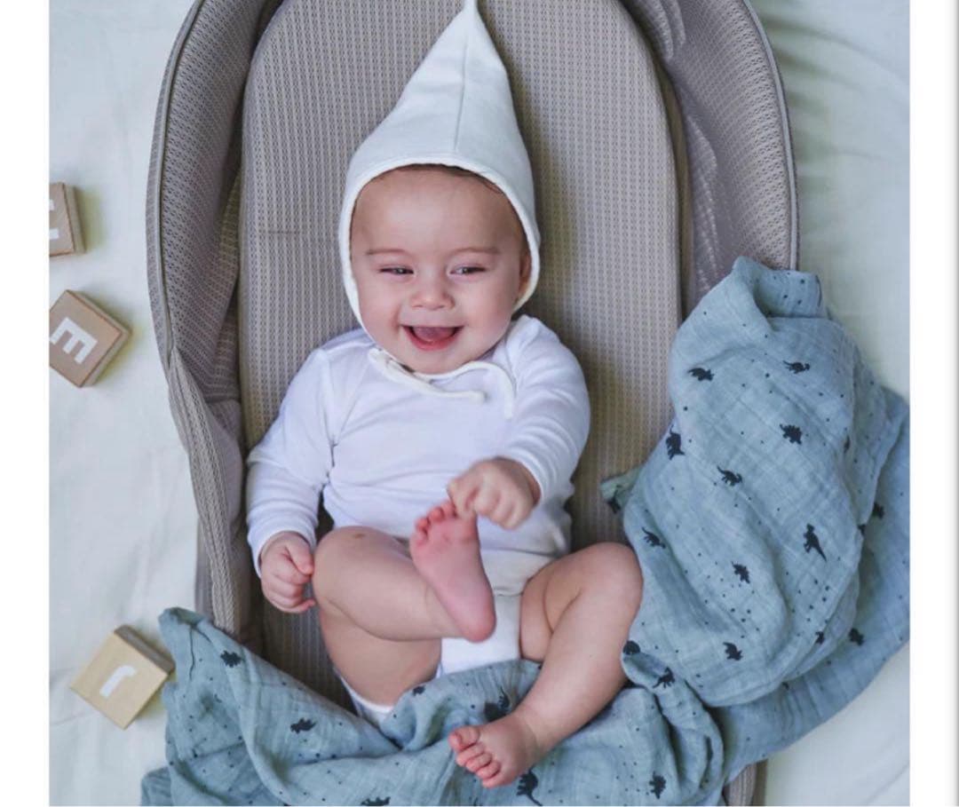 neomamaismベッドインベッド　Dove Gray