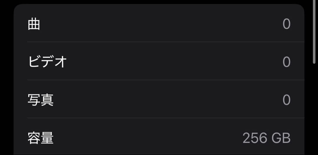 ✨国内版SIMフリー✨ Apple iPhone 12 mini 256GB