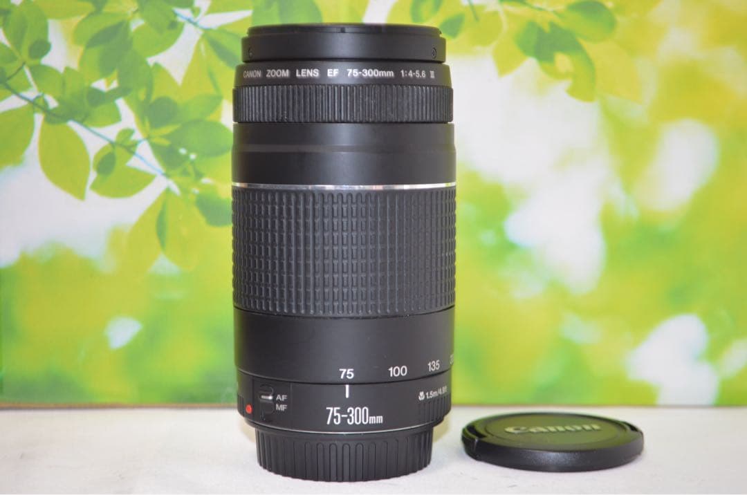 ★極美品★300mm超望遠レンズ★CANON EF 75-300mm