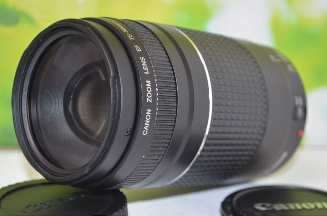★極美品★300mm超望遠レンズ★CANON EF 75-300mm