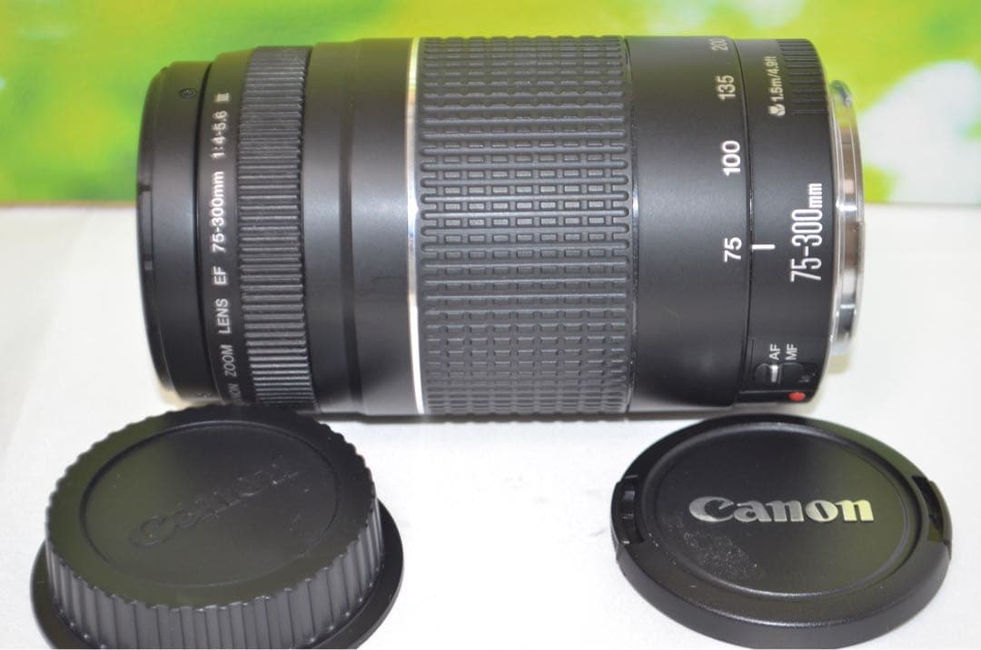 ★極美品★300mm超望遠レンズ★CANON EF 75-300mm