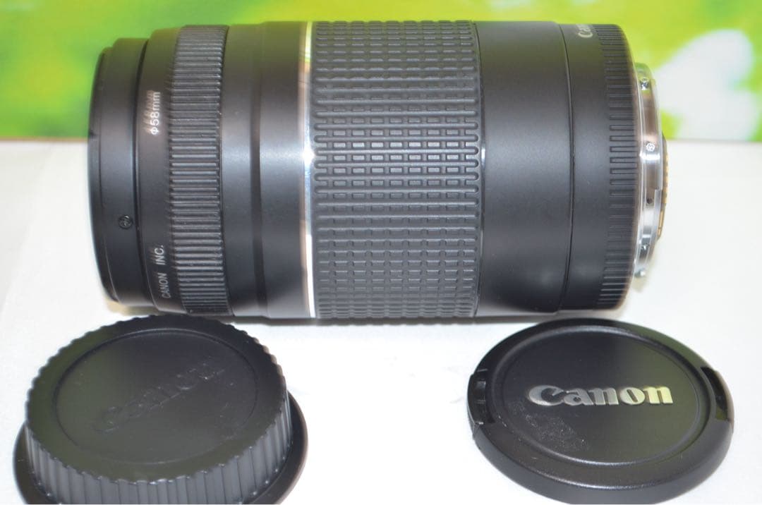 ★極美品★300mm超望遠レンズ★CANON EF 75-300mm