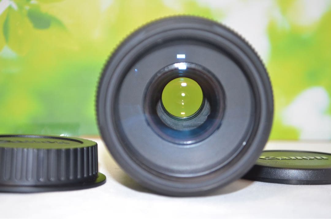 ★極美品★300mm超望遠レンズ★CANON EF 75-300mm