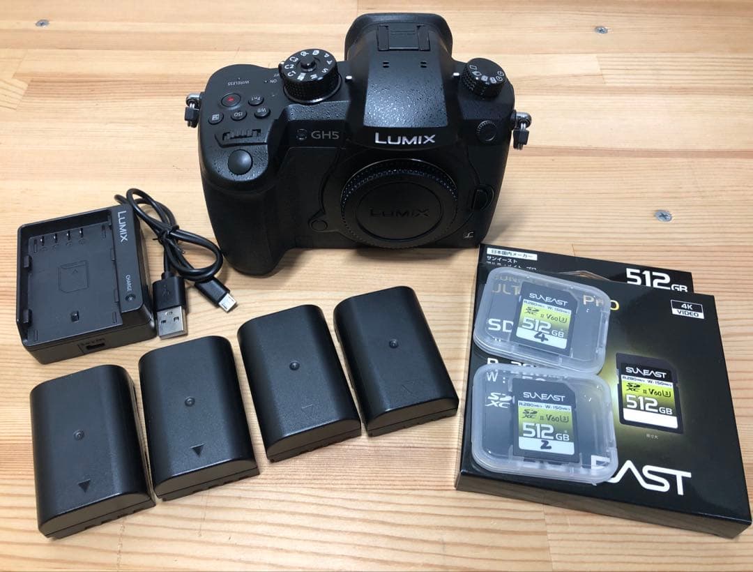 Panasonic GH-5 本体のみ　純正電池4個付き