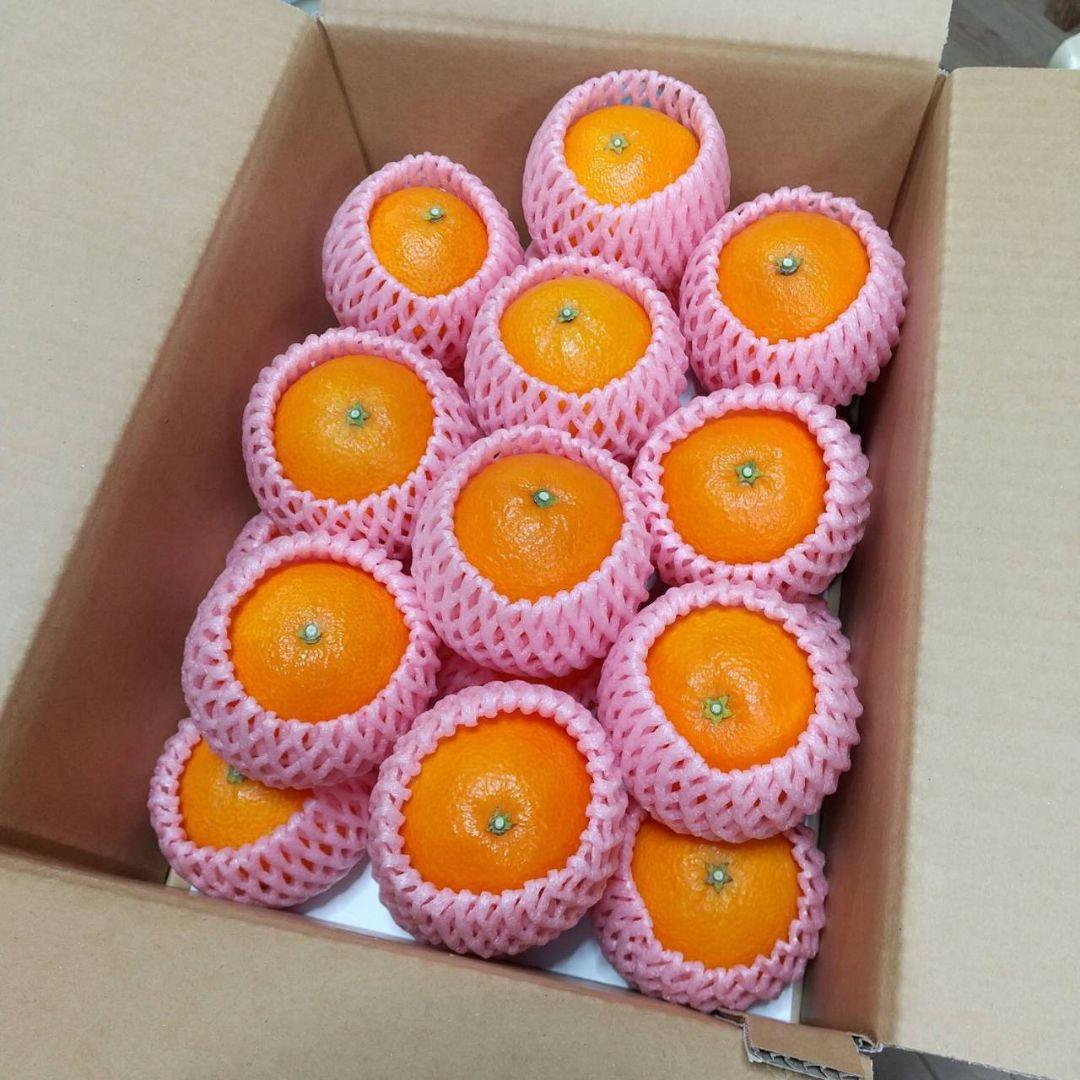 252愛果 まどんな 贈答用 Ｌ玉 ５kg × 二箱