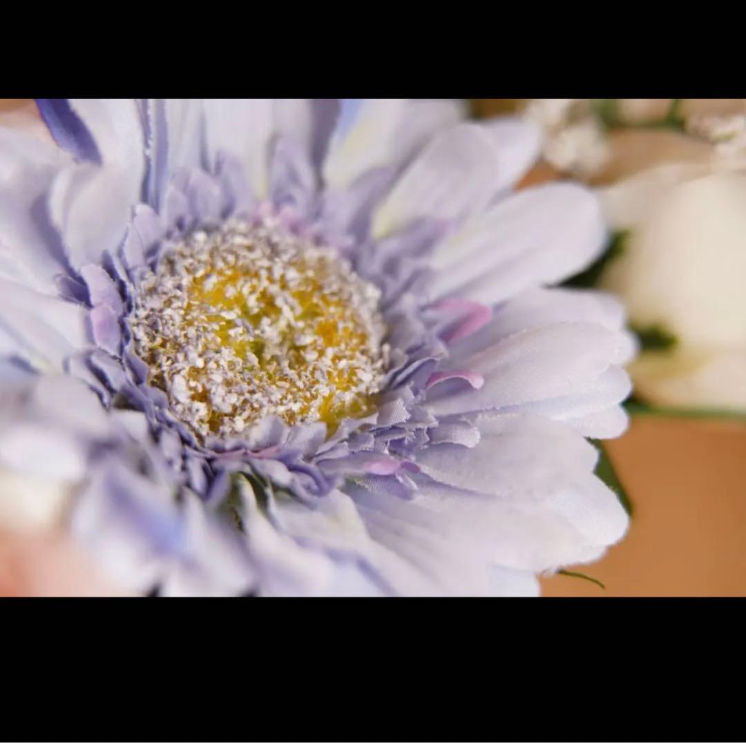 高画質！マクロレンズに変換できる！？リング！SONYミラーレスカメラ対応！黒！