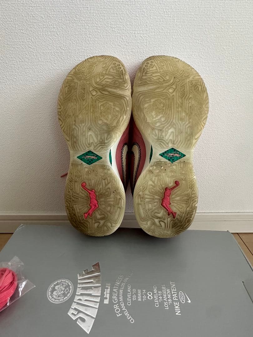 LEBRON XX EP レブロン20