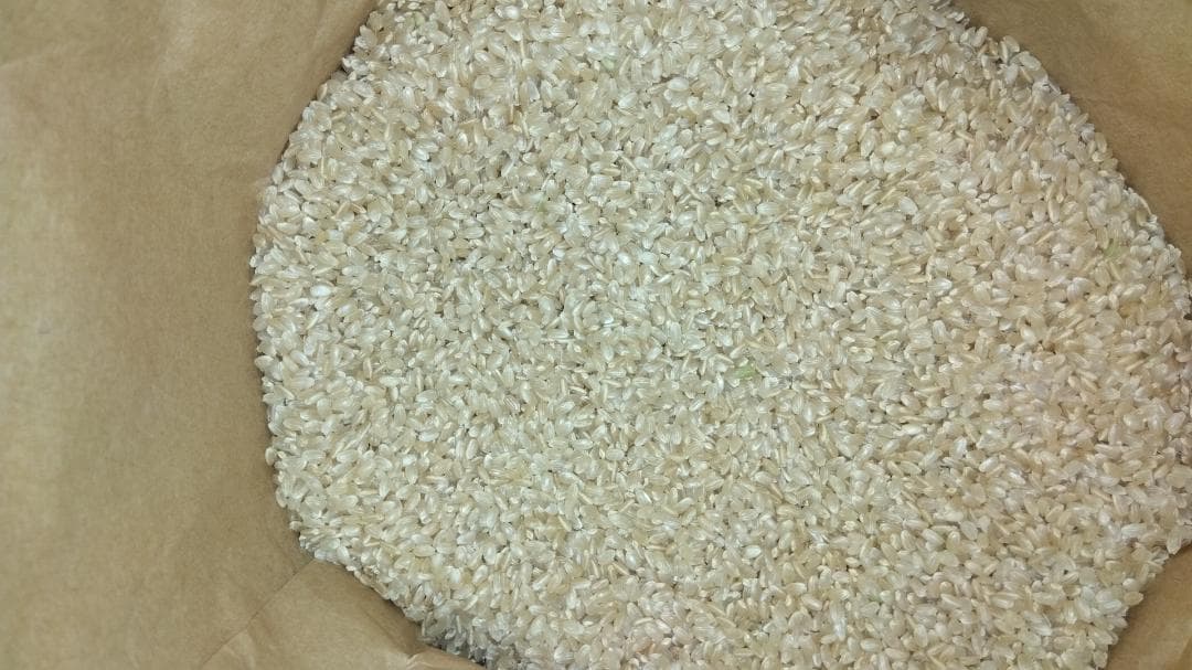 【令和７年産米】福島県産コシヒカリ 30kg　玄米