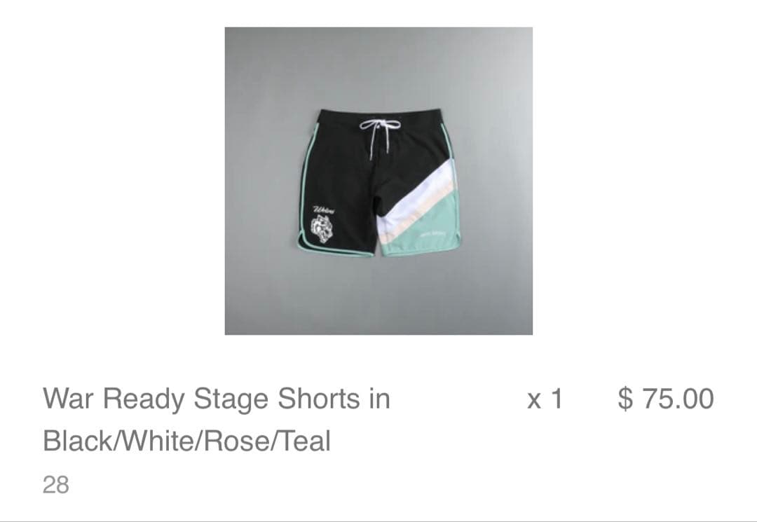 【激レア】Darc Sport サーフパンツ 28インチ