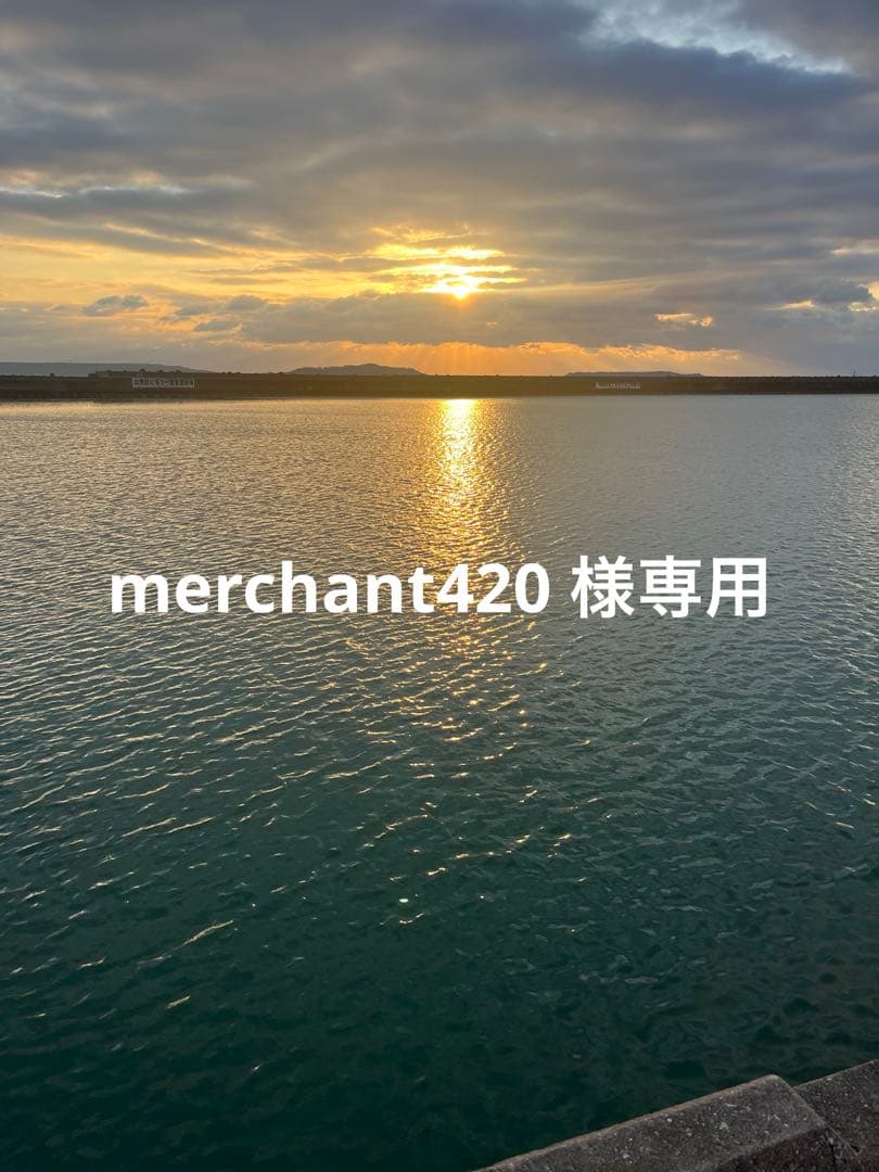 merchant420 　レゲエ　レコードセット
