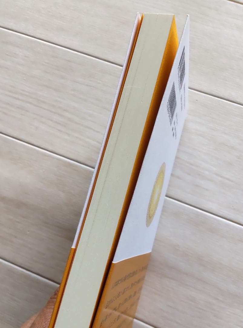 神の詩 聖典バガヴァット・ギーター 1　森井啓二著