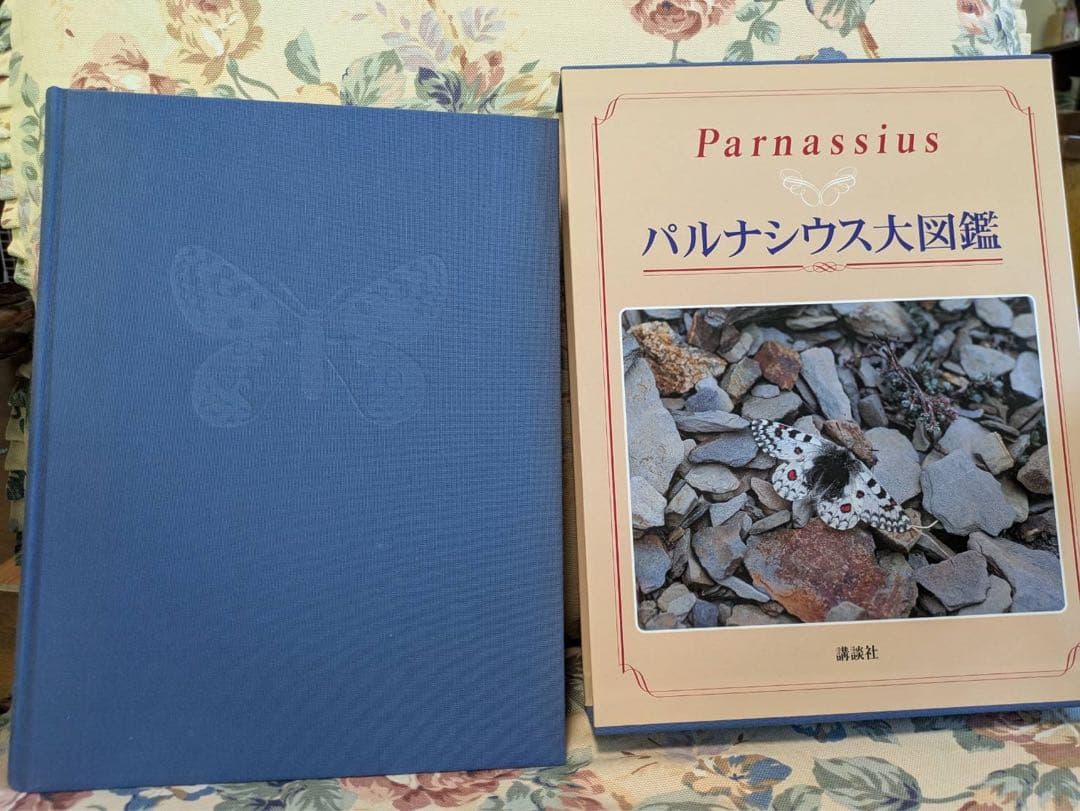 Parnassius パルナシウス大図鑑
