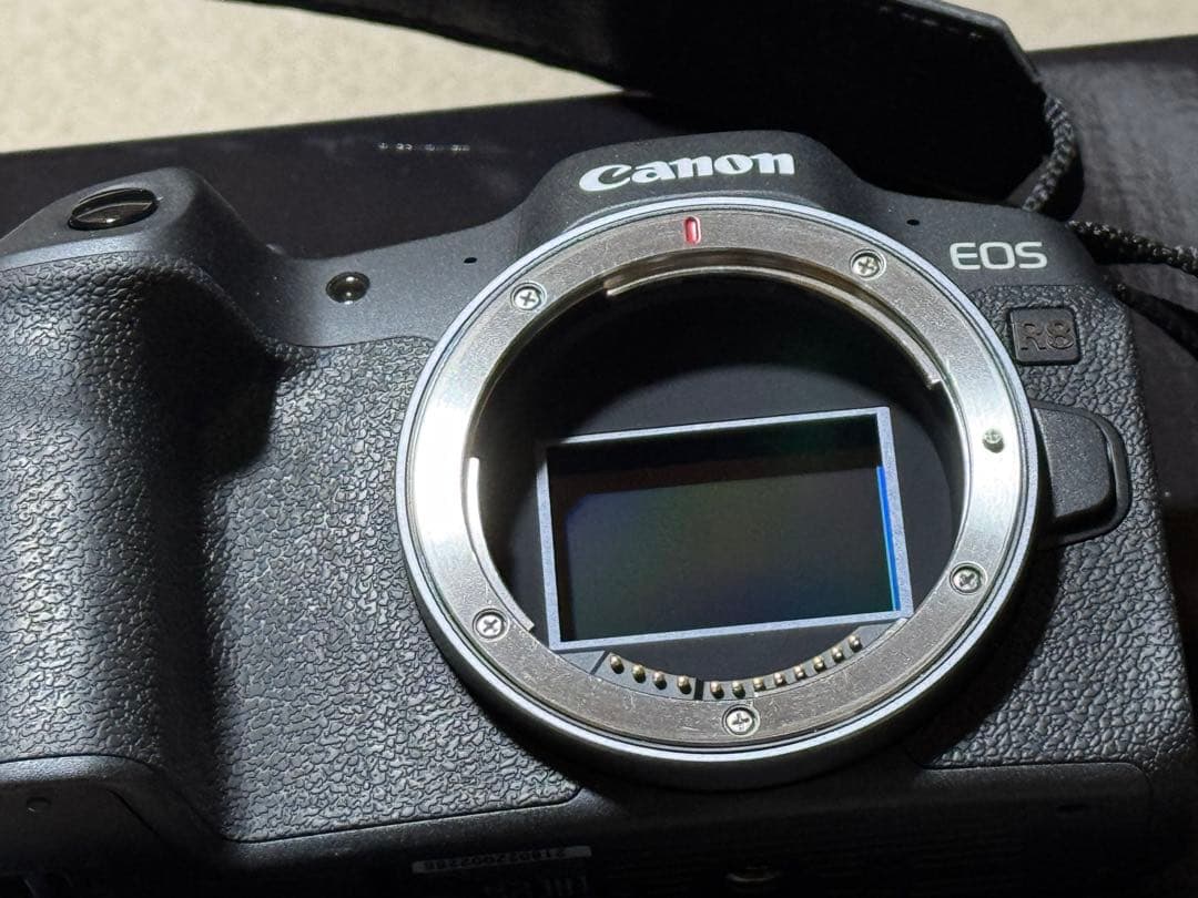 Canon EOS R8 ミラーレス一眼 本体 [美品]