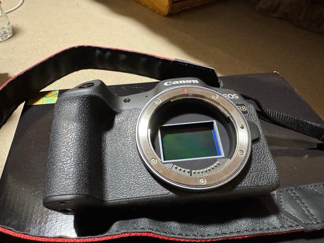 Canon EOS R8 ミラーレス一眼 本体 [美品]