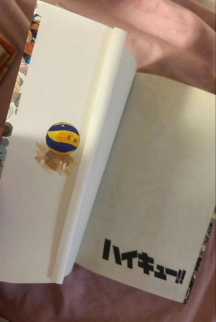 ハイキュー1-45巻全巻+ハイキュー小説版10-13巻、ハイキュー限定版数種類