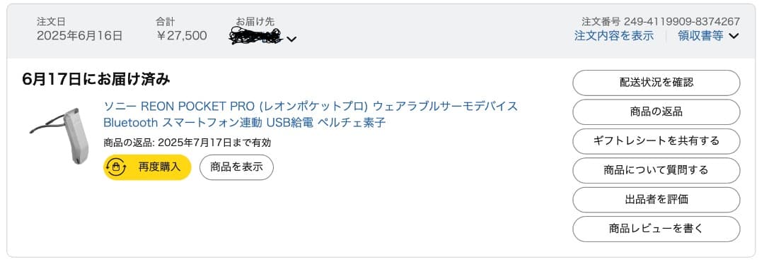 【美品】SONY REON POCKET PRO (レオンポケット)