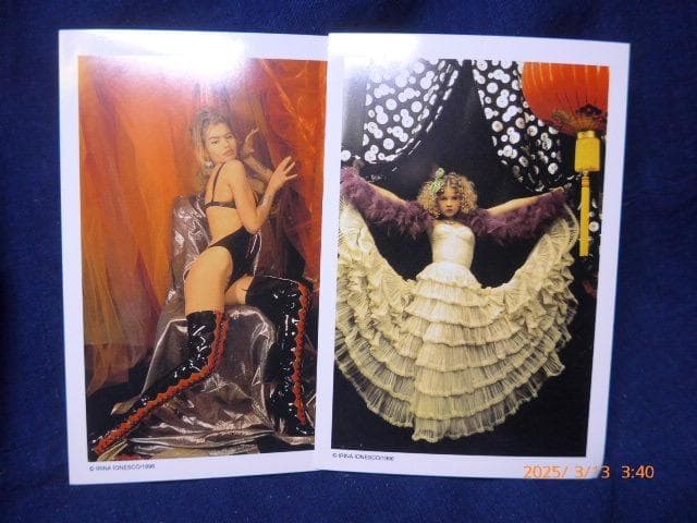 12/13〜14は対応・返信不可　貴重イリナ・イオネスコの絵葉書５点ほか