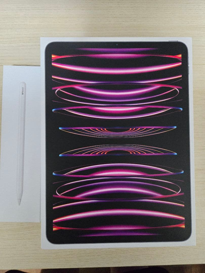 iPad Pro 11 第4世代 256GB　Apple Pencil付き