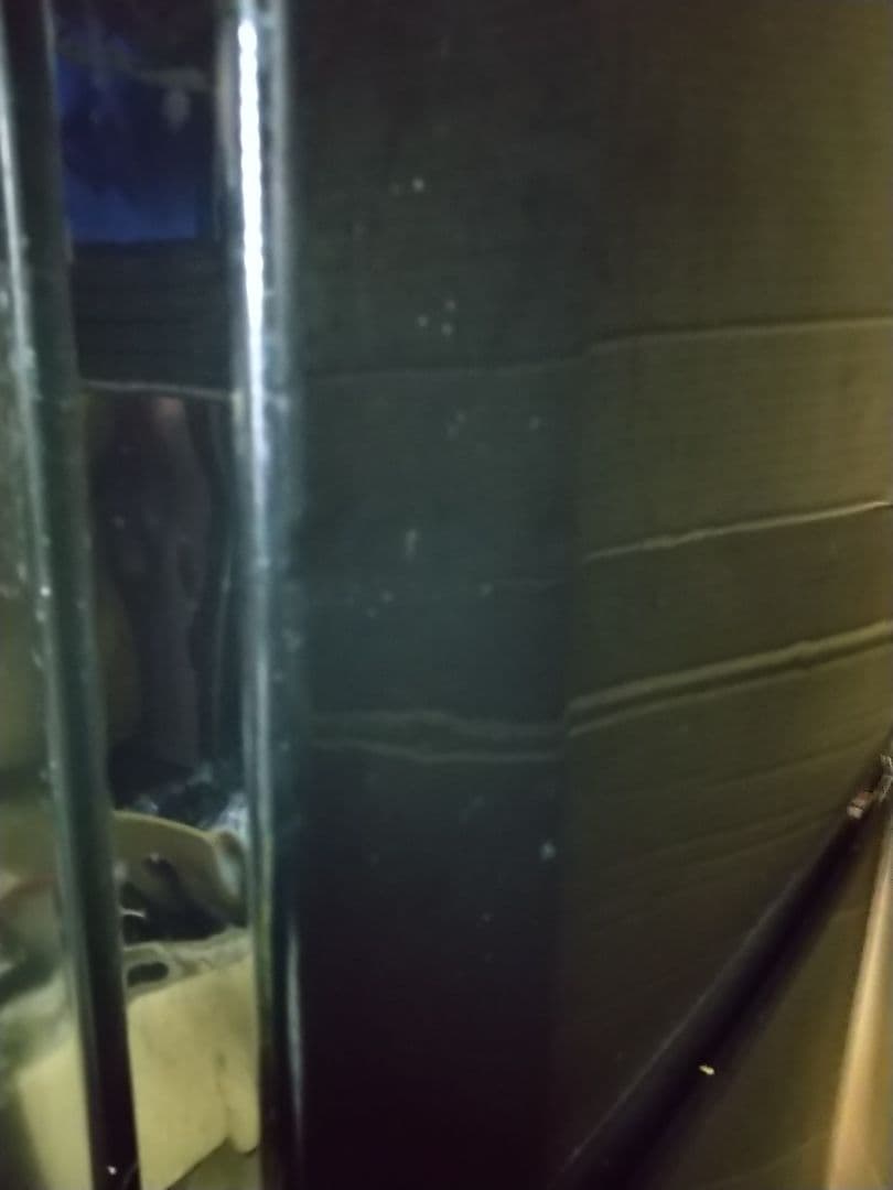 送料込み！三菱 MR-P15T 黒 146L 簡易清掃済み 動作OK 冷蔵庫