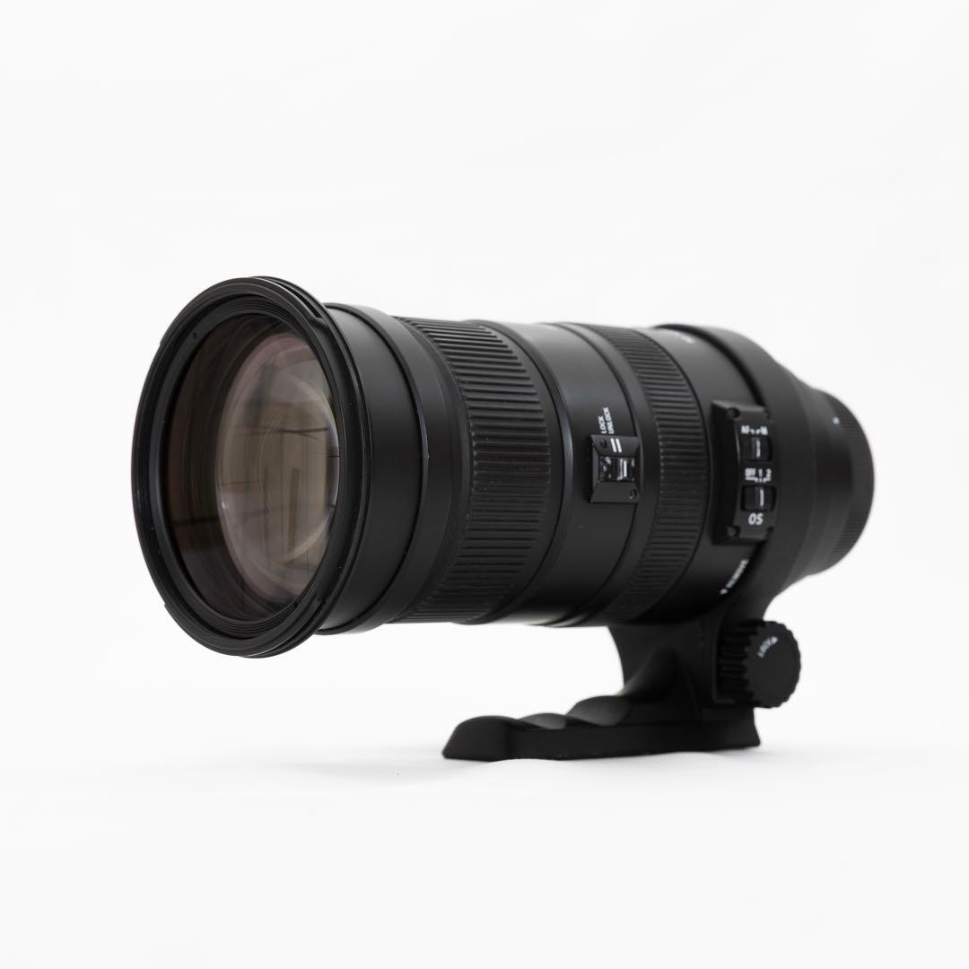 SIGMA DG 50-500mm F4.5-6.3 APO HSM キヤノン用