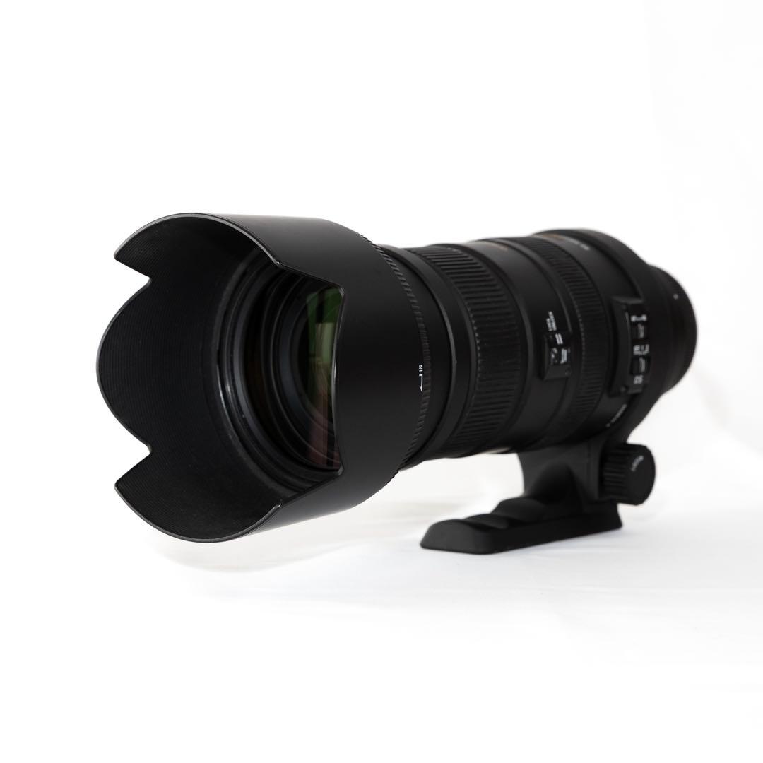 SIGMA DG 50-500mm F4.5-6.3 APO HSM キヤノン用