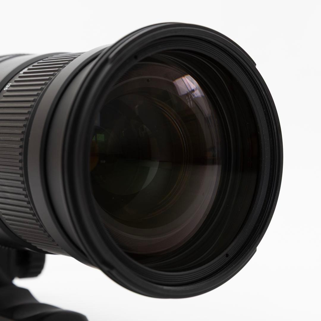 SIGMA DG 50-500mm F4.5-6.3 APO HSM キヤノン用