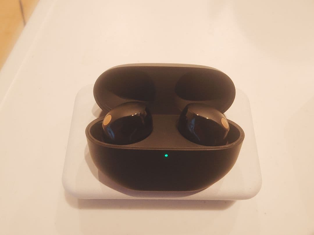 SONY ワイヤレスノイズキャンセリングイヤホン WF-1000XM5