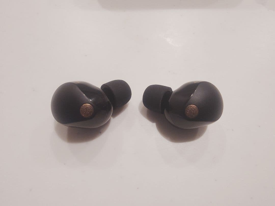 SONY ワイヤレスノイズキャンセリングイヤホン WF-1000XM5