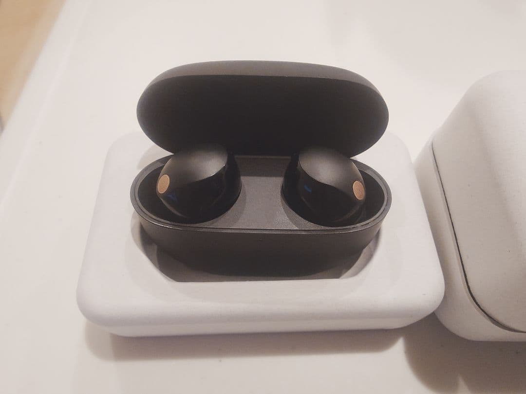 SONY ワイヤレスノイズキャンセリングイヤホン WF-1000XM5