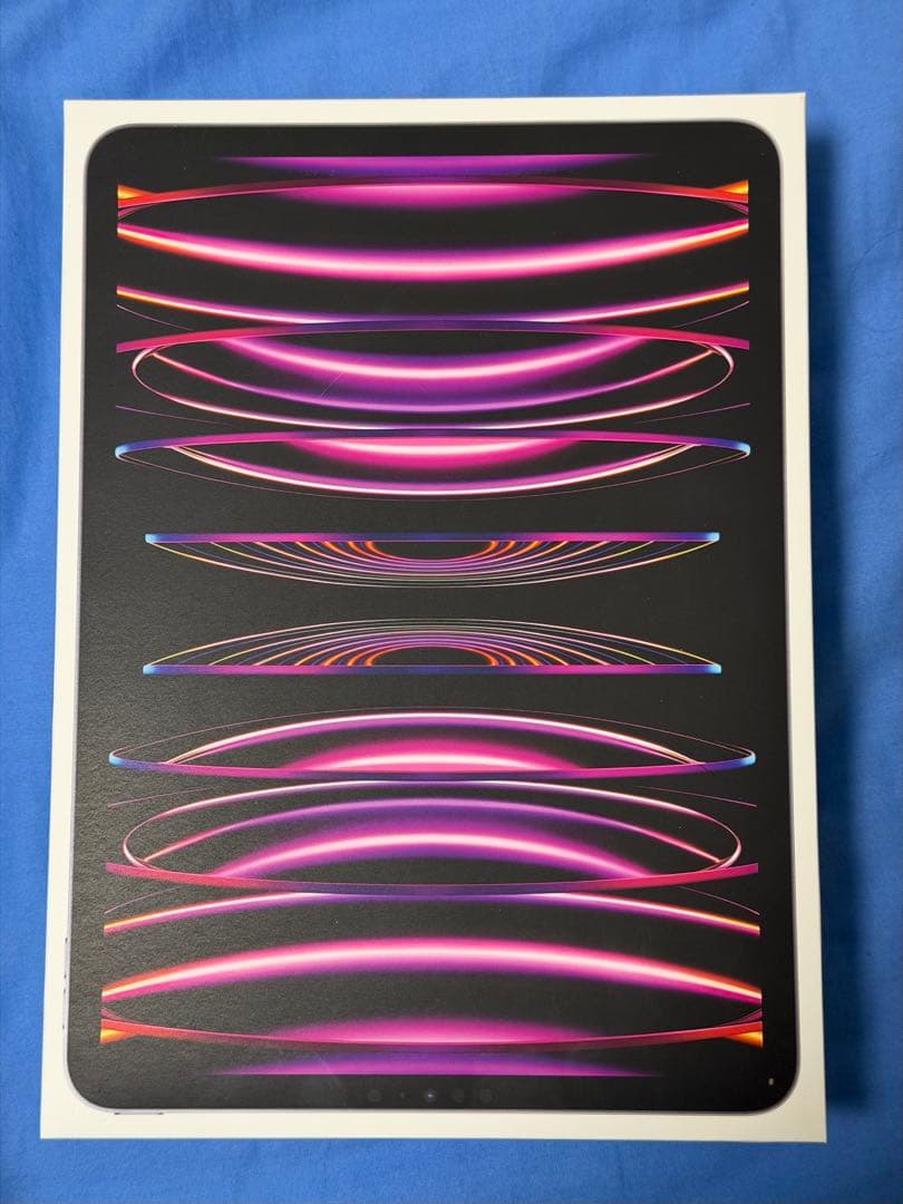 iPad Pro Wi-Fi スペースグレイ　M2 第4世代