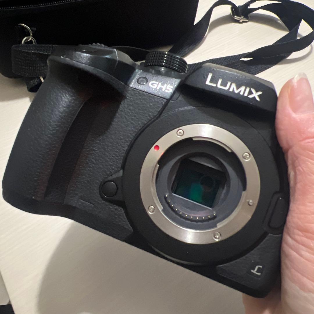 【カメラセット】Panasonic LUMIX GH5 14-140mmレンズ