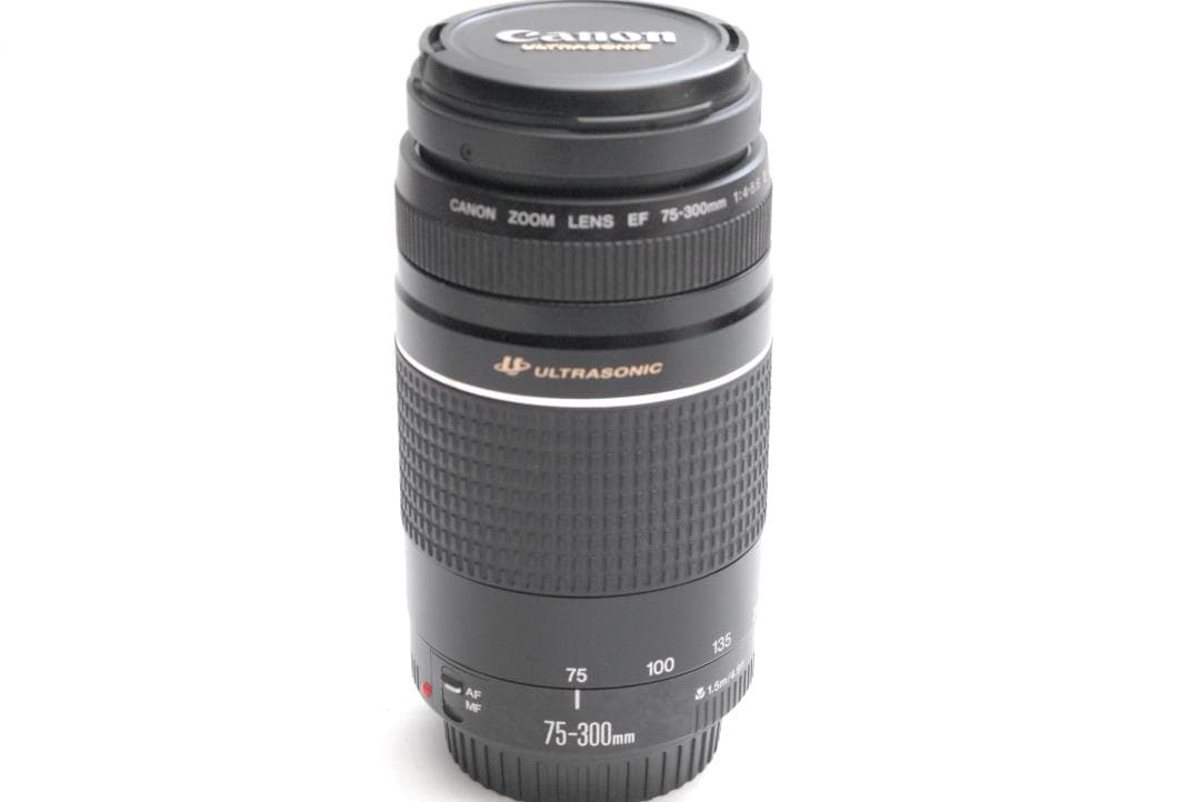 CANON ZOOM LENS EF 75-300mm 1:4-5.6Ⅲ USM