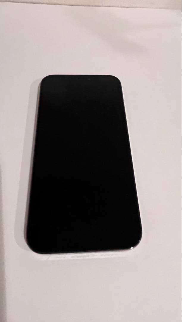 iPhone 12 Pro 本体 ジャンク品