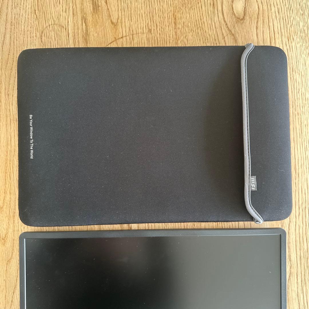 MSI PRO MP161 E2 15.6インチモニター