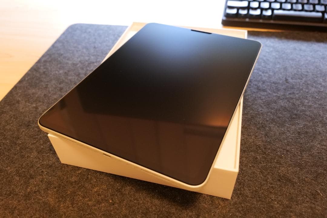 iPad pro 11インチ 第1世代 256gb + オマケ