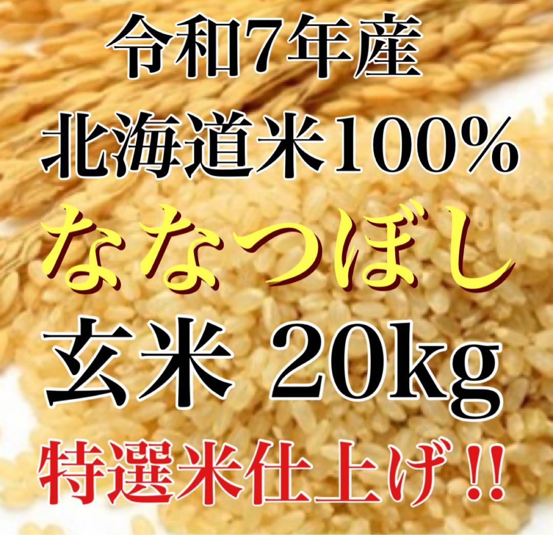 令和7年度産北海道米100%ななつぼし玄米20キロ