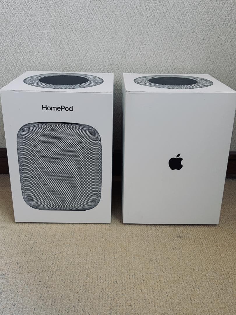 Apple Pod（第一世代）2台セット