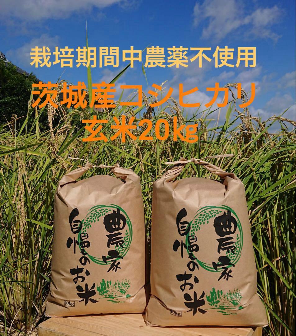 令和7年茨城県産コシヒカリ玄米20Kg 栽培期間中農薬不使用