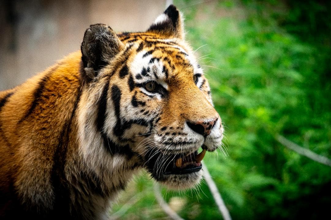 ソ*ー様 《早い者勝ち》TAMRON 28-200mm F/2.8-5.6