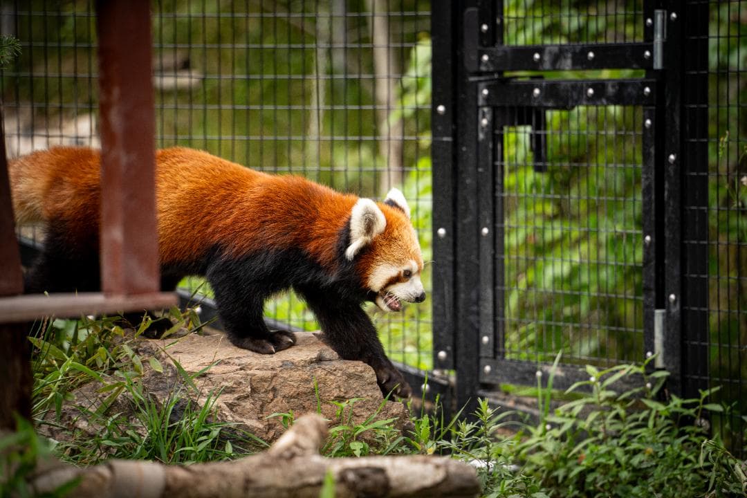 ソ*ー様 《早い者勝ち》TAMRON 28-200mm F/2.8-5.6