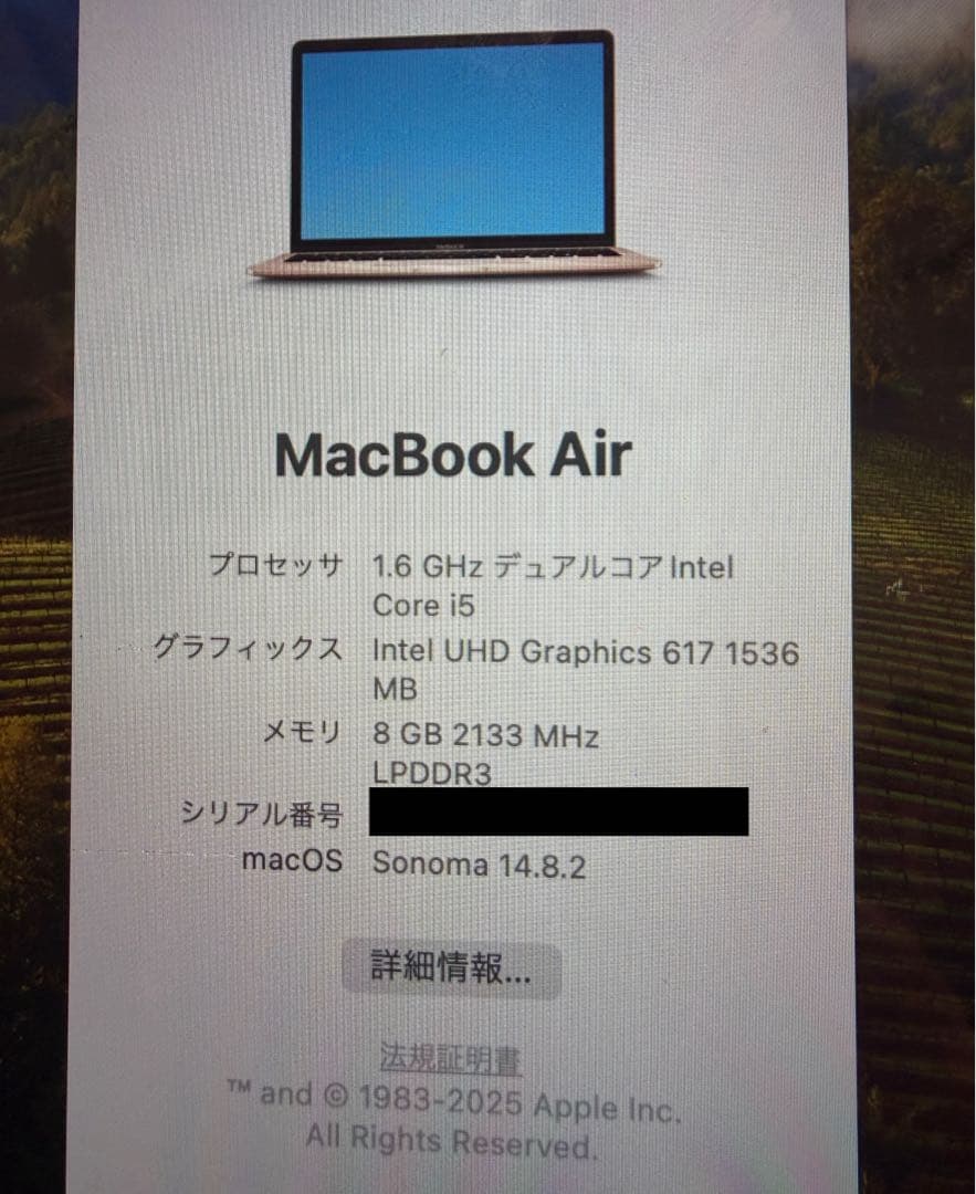 13インチ MacBook Air ゴールド Retina 2018