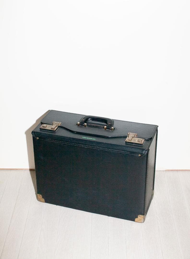 ALEX ストロボ×2 1200w ジェネレーター