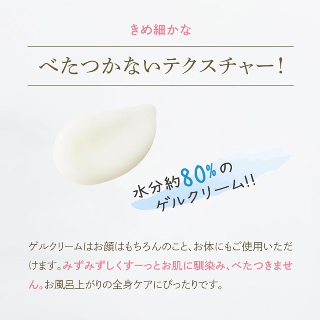 外箱折り畳み エバメール 2個セット ゲルクリーム 詰替 500g レフィル