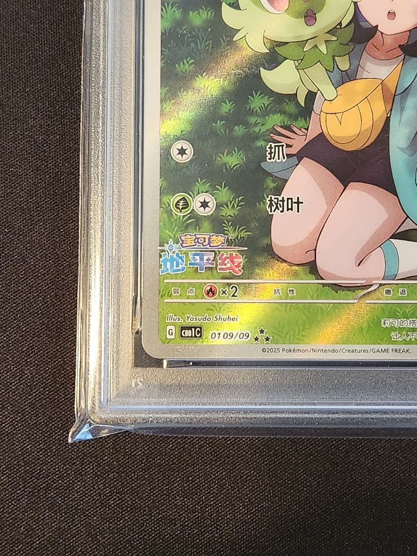 ニャオハ AR 中国 簡体字 PSA 10