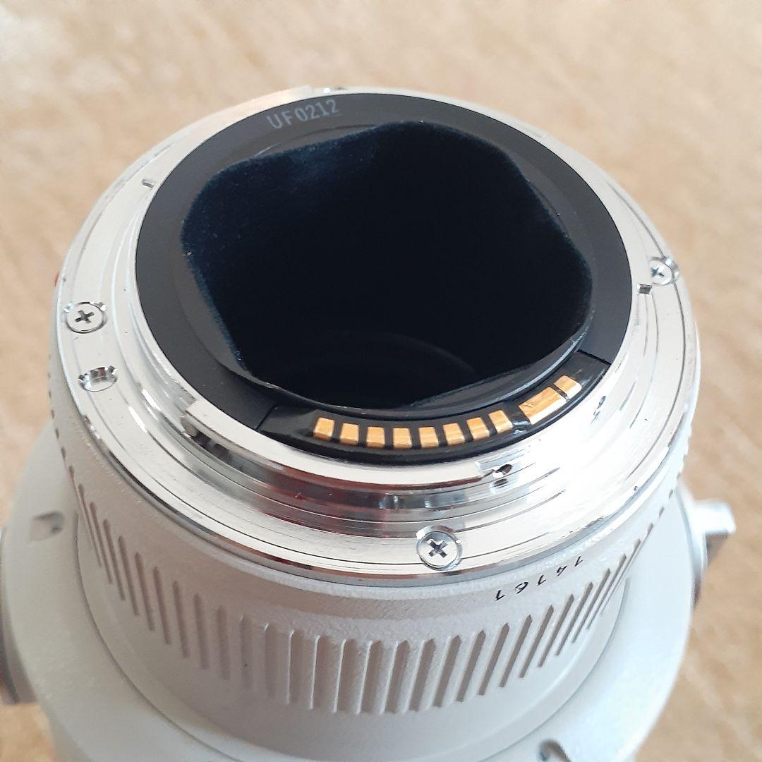 キャノン Canon レンズ EF 300mm F2.8L USM